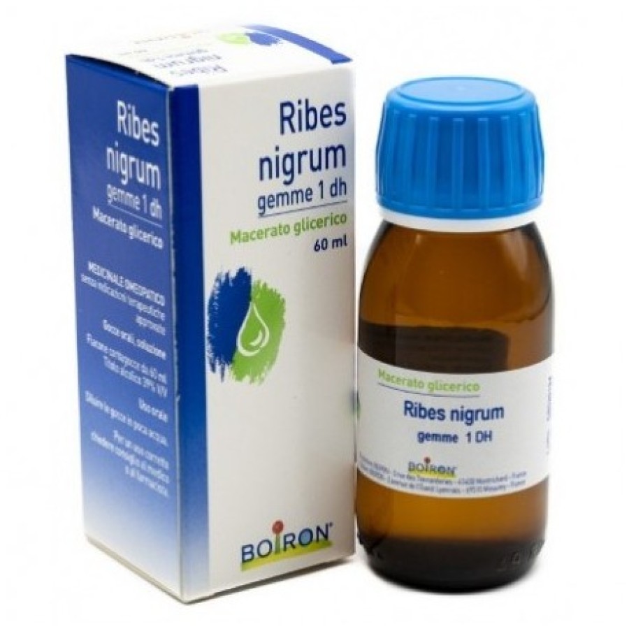 RIBES NIGRUM GEMME 60ML MG