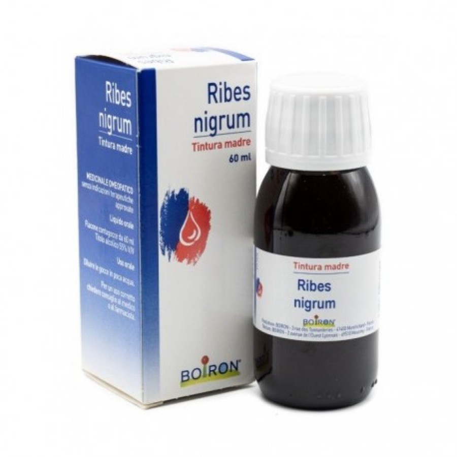 RIBES NIGRUM 60ML TM