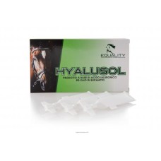 HYALUSOL 10 FLACONI MONODOSE DA 8 ML