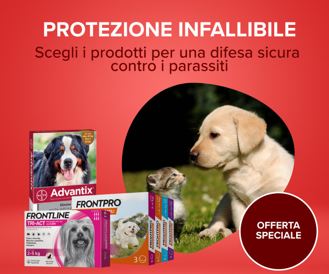 Banner Veterinario