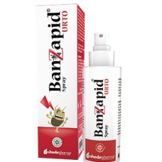 BANZAPID SPRAY TRATTAMENTO 100 ML